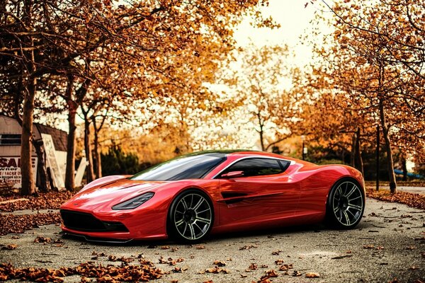 Aston Martin Herbstzeit