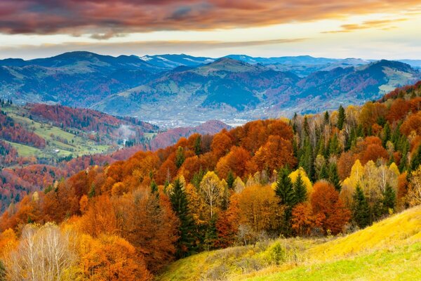 Paesaggio della foresta di fuoco autunnale