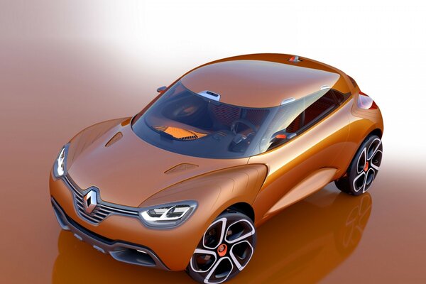 New Renault brown