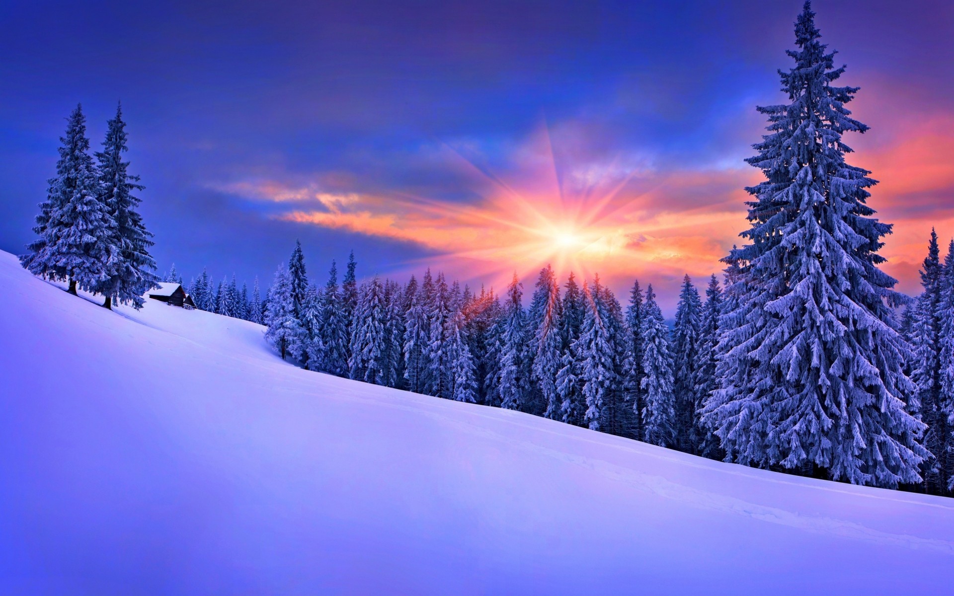 winter schnee kälte holz frost landschaftlich saison baum berge landschaft gefroren eis weihnachten evergreen natur nadelbäume gutes wetter tanne wetter bäume wald sonnenuntergang