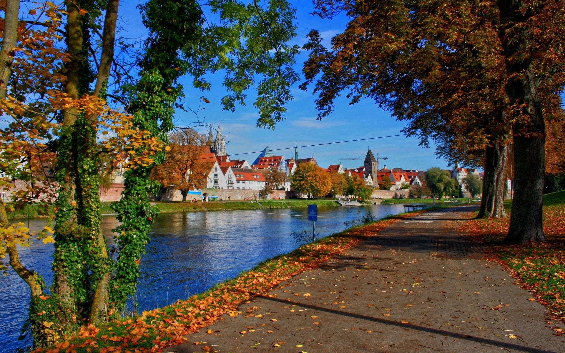 germany tree fall leaf nature landscape park lake water outdoors scenic wood river bavaria