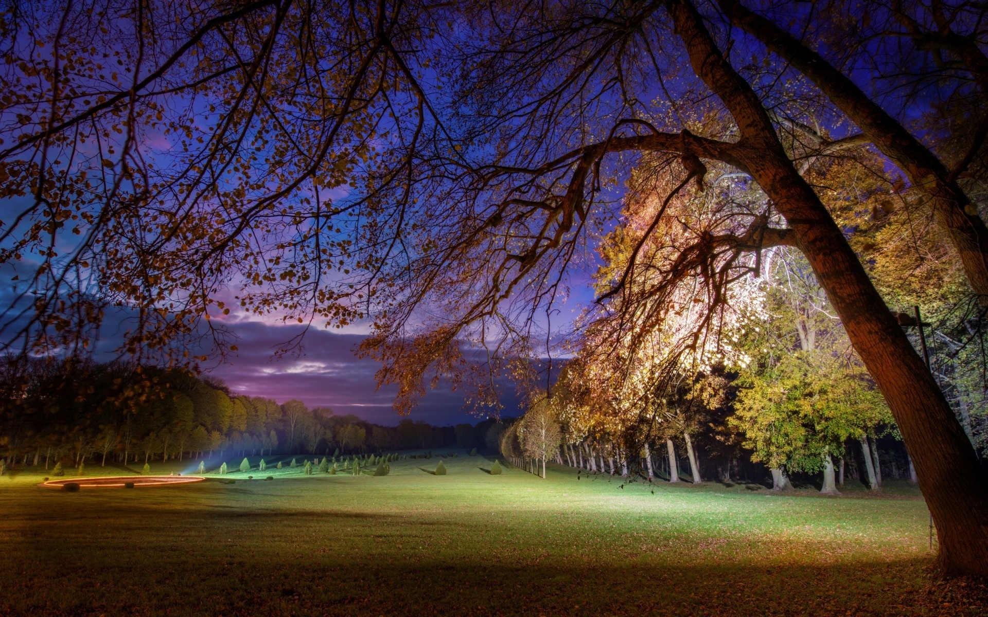 landschaft baum landschaft herbst park natur dämmerung holz landschaftlich licht blatt saison zweig gutes wetter im freien sonne abend drh wald bäume