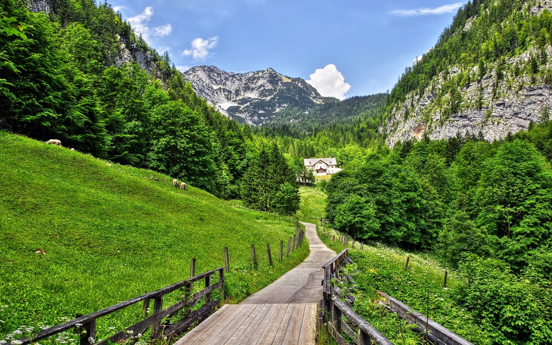 landscapes nature wood mountain landscape travel tree summer outdoors scenic grass sky hill guidance sight scenery valley rural road fair weather mountains