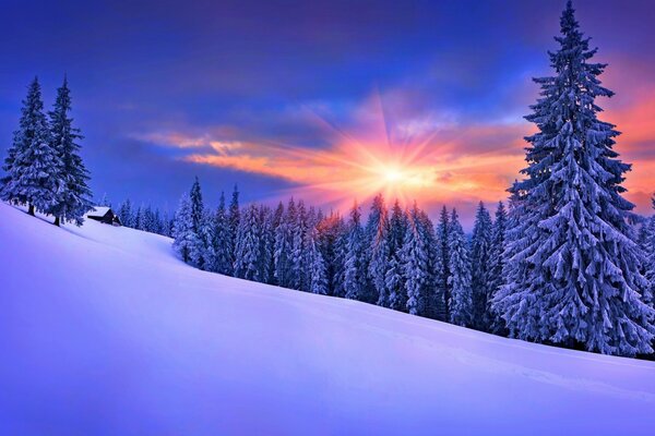 Paesaggio gelido invernale della natura