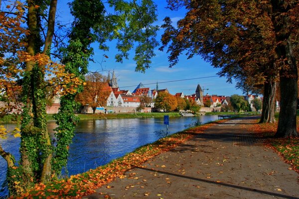 Осенняя Германия с рыжими листьями