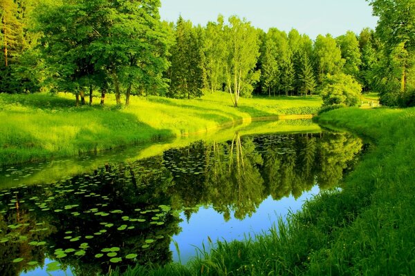 The lake and the bright green foliage