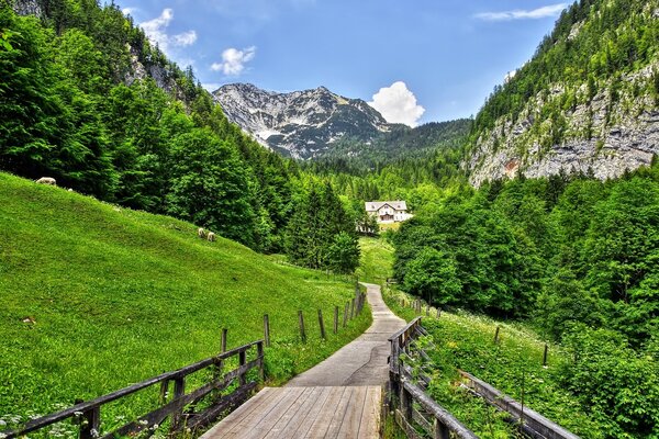 Berglandschaft, Natur, Straße aus Holz