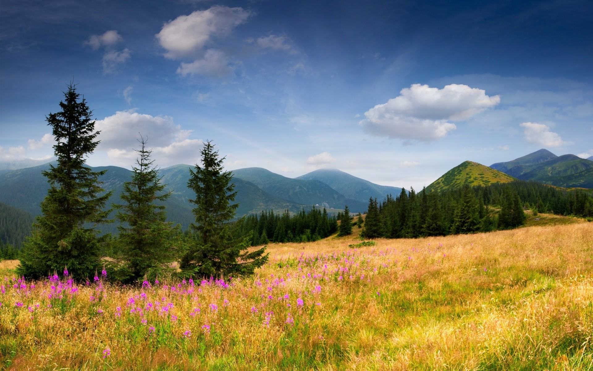 sport paysage nature montagnes été herbe bois à l extérieur ciel voyage arbre scénique foin neige fleur forêt arbres