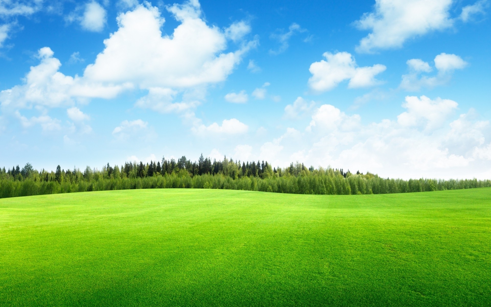 landschaft gras golf landschaft heuhaufen sommer natur landschaft landschaft weide feld weide rasen himmel im freien boden idylle hell gutes wetter putten wald hügel