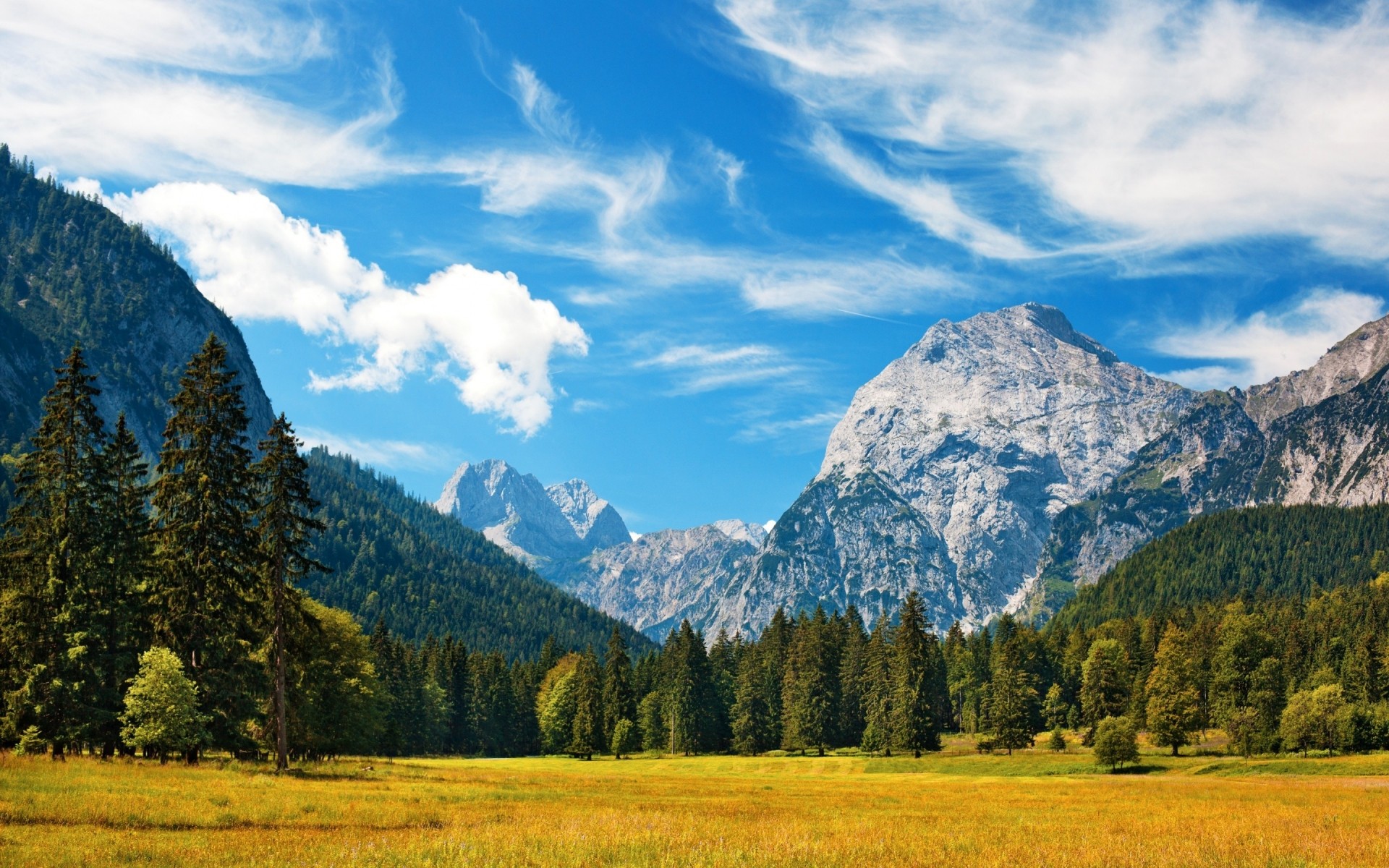 landscapes mountain landscape wood scenic outdoors travel nature tree sky daylight fall valley snow mountain peak mountains forest hills