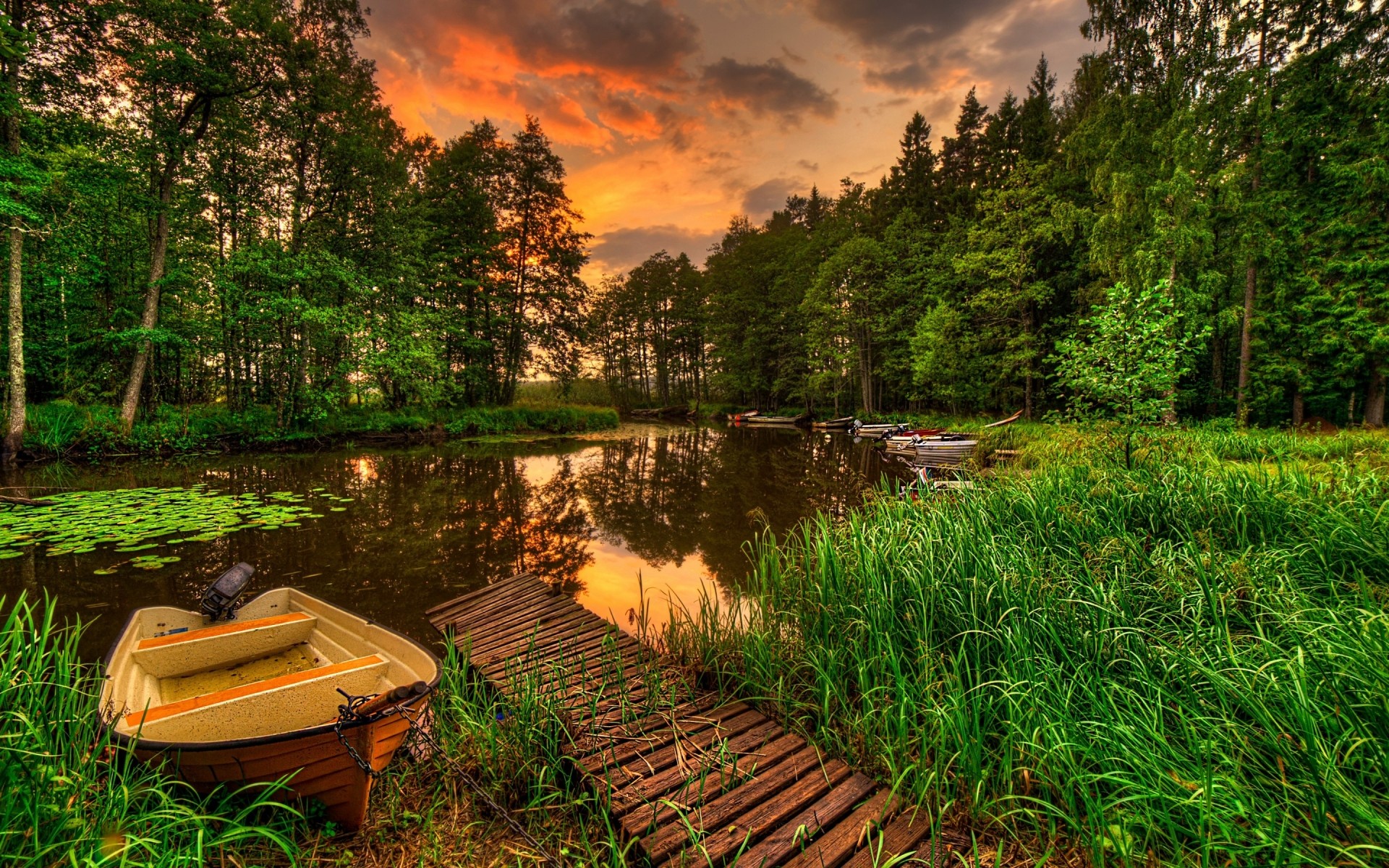 paysage eau paysage voyage en plein air nature herbe bois été arbre rivière aube lac jardin feuille drch coucher de soleil forêt