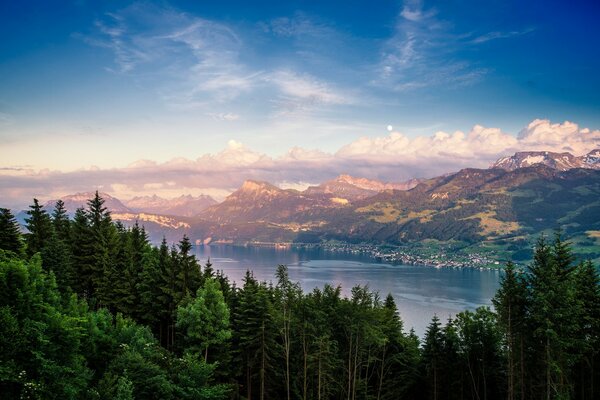 Paisaje: río de Montaña entre el bosque