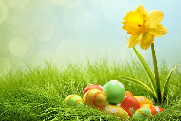 Easter eggs. Multicolored. Bright grass