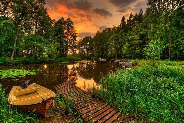 Silenzio sul lago della foresta