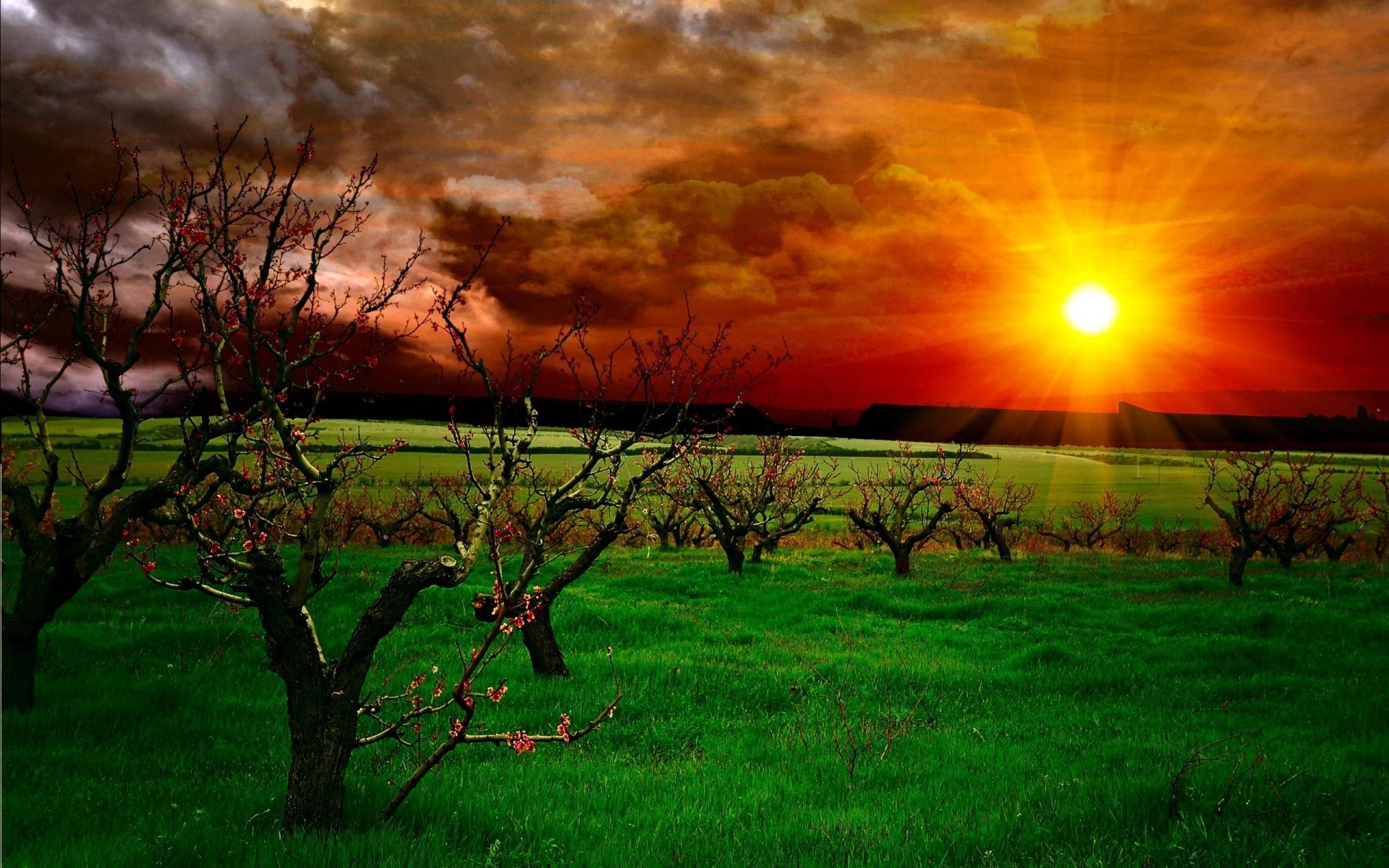 landscapes dawn sunset sun landscape nature grass field tree rural evening fair weather countryside light outdoors farm agriculture hayfield bright hdr garden