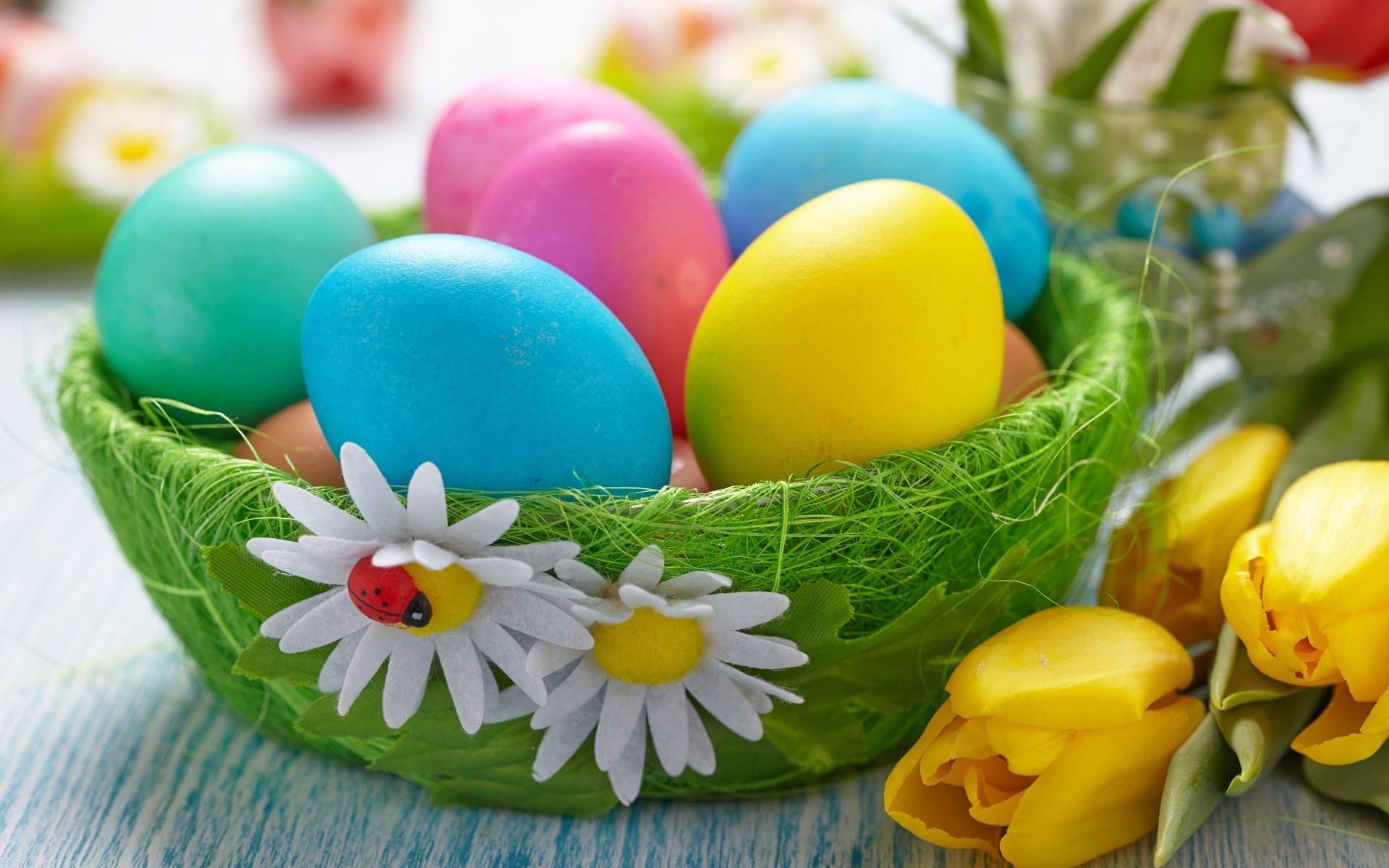 easter egg food candy easter egg nest decoration basket nature celebration confection color bright easter eggs easter 2014 easter eggs 2014 2014 easter eggs