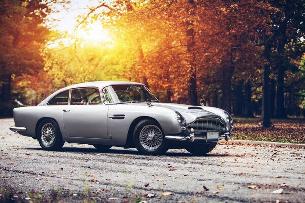 Aston Martin - Oldtimer