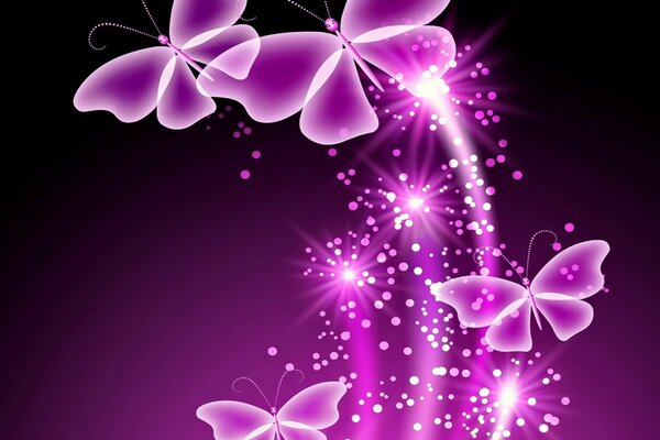 Bright purple butterflies on a dark background