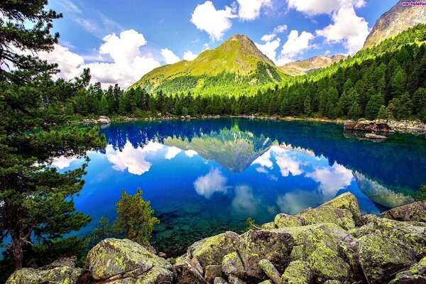 Montanhas, florestas e colinas sobre o lago