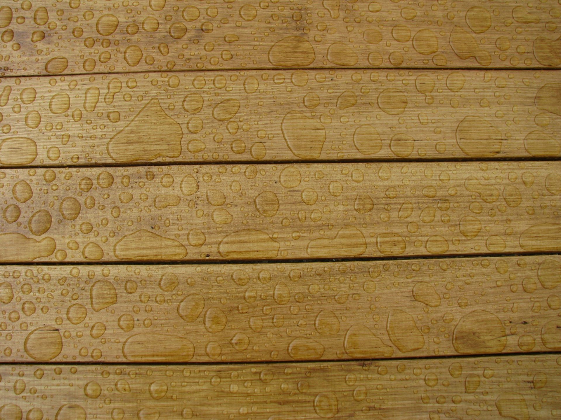 holz stoff oberfläche wand boden muster textur desktop panel design aus holz holz magazin tafel korn rau bau möbel aus holz alt retro