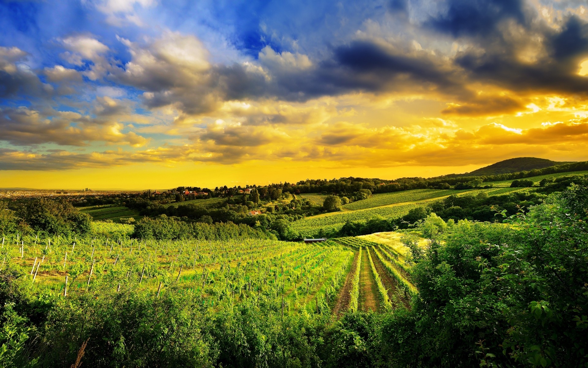 andere städte bebautes land natur landschaft himmel landwirtschaft im freien sonnenuntergang landschaft ländlich baum reisen sommer morgendämmerung wien österreich