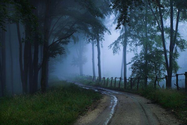 Route sortant dans un épais brouillard