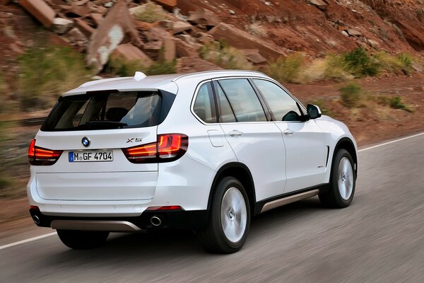 Beautiful rear view of the car and a beautiful shade