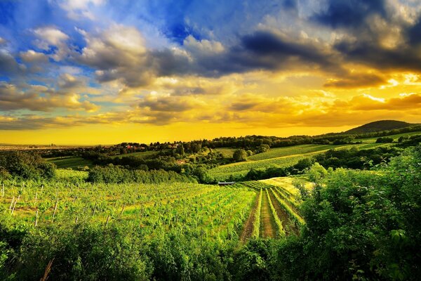 Coucher de soleil jaune derrière les collines à Vienne