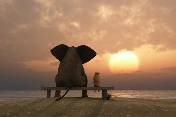 Tramonto romantico dell elefante e del cane