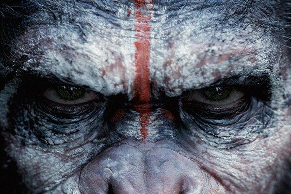 La mirada malvada de un hombre parecido a un mono