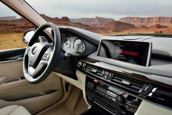 Steering torpedo of a car against the background of old mountains