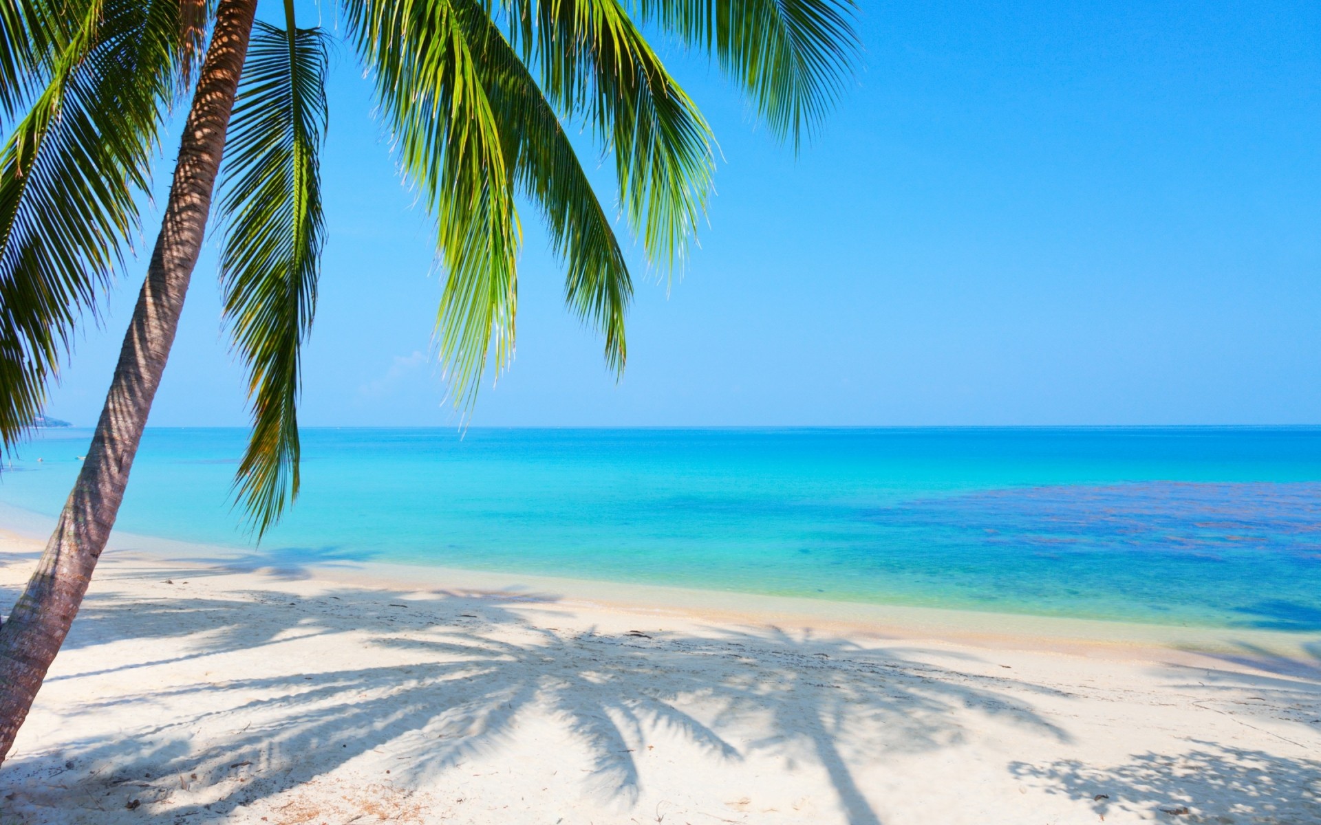 paysage sable tropical plage mer idyllique été océan île paradis eau voyage vacances paysage soleil turquoise exotique station détente palmiers noix de coco palmiers mer paysage