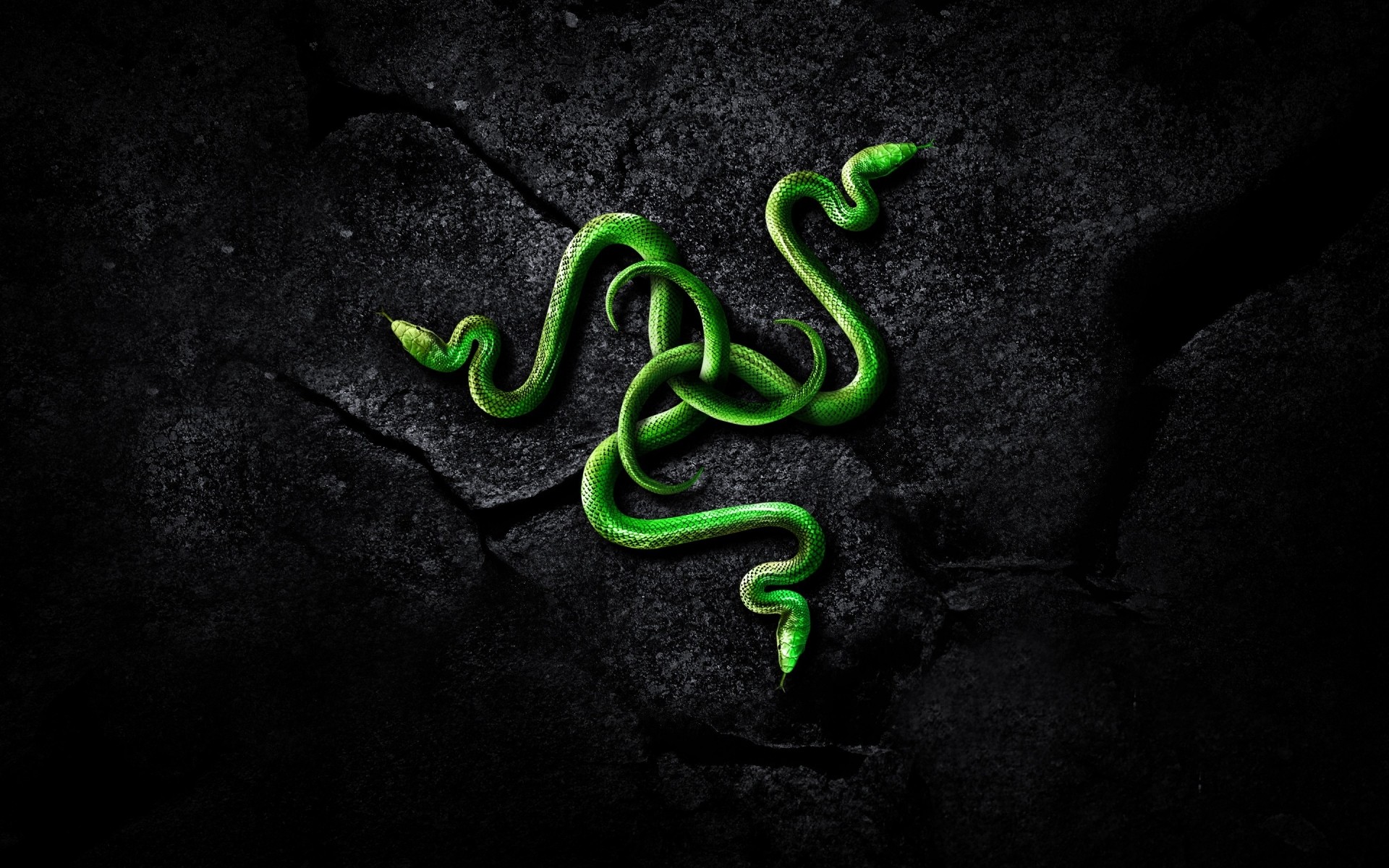 tecnologia digitale e software desktop serpente natura simbolo razer tecnologia arte