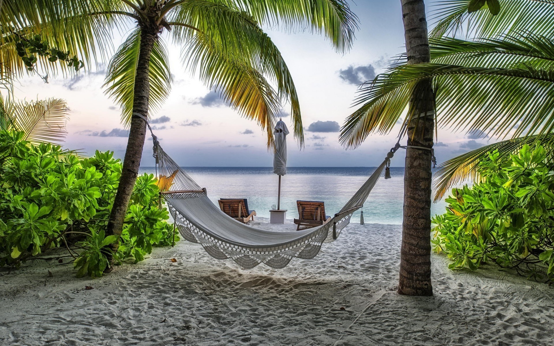 paysage tropical palmiers plage station été vacances détente noix de coco île paradis océan sable voyage mer eau idyllique exotique turquoise soleil chaise palmiers