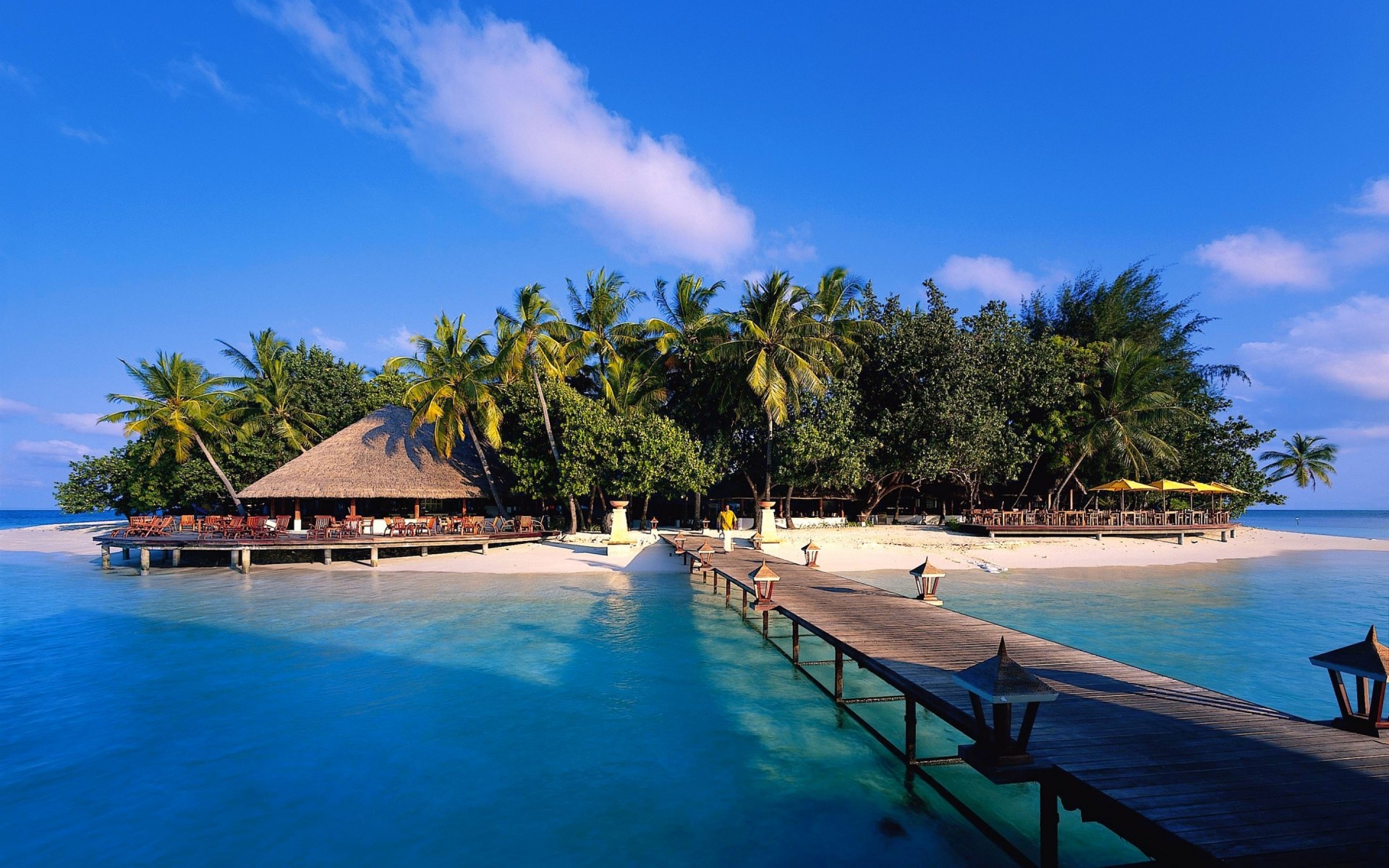 scenario tropicale resort lusso hotel esotico acqua nuoto relax viaggi spiaggia estate relax piscina vacanza idillio palme oceano sole sabbia maldive alberi mare bungalow isola