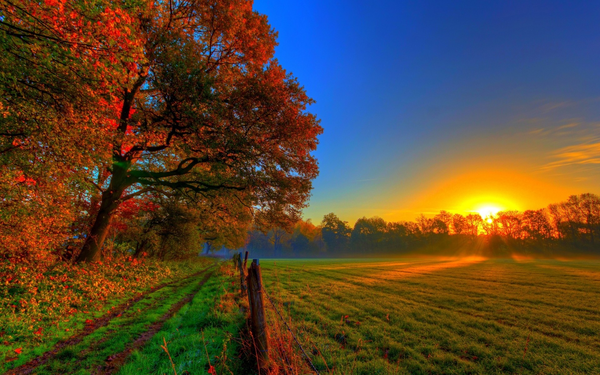 pflanzen dämmerung herbst natur sonne sonnenuntergang landschaft im freien blatt baum gutes wetter landschaft hell ländlich holz bäume himmel wolken