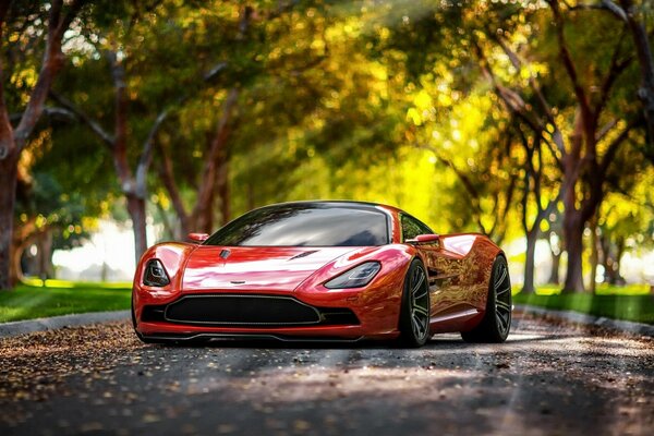 Red sports car in the middle of a narrow road on the background of autumn trees