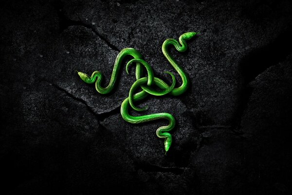 Digital image of a snake in nature in the form of a symbol