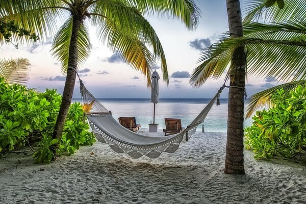 A white hammock weighs on two palm trees