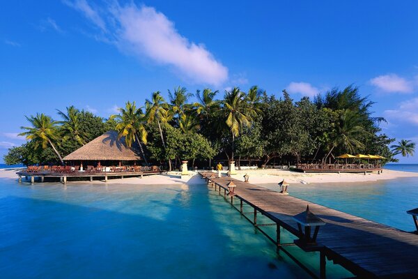 Paisaje de un hotel tropical de lujo