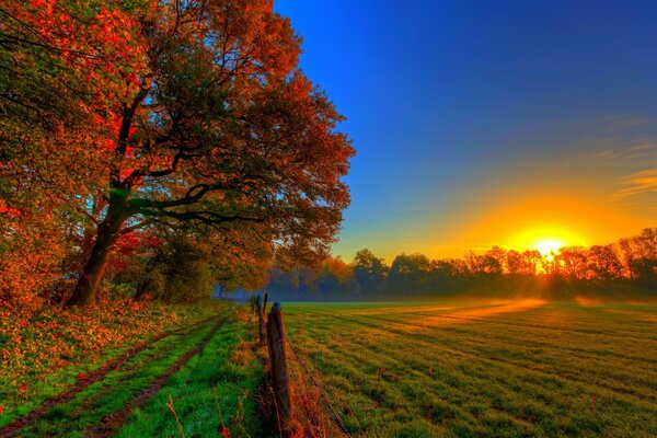 Herbstlicher Sonnenaufgang über dem Feld