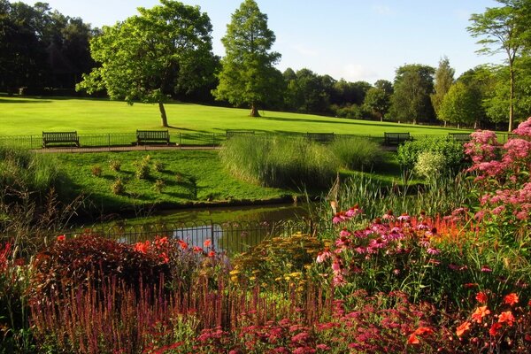 Paysage au Royaume-Uni, nature, fleurs