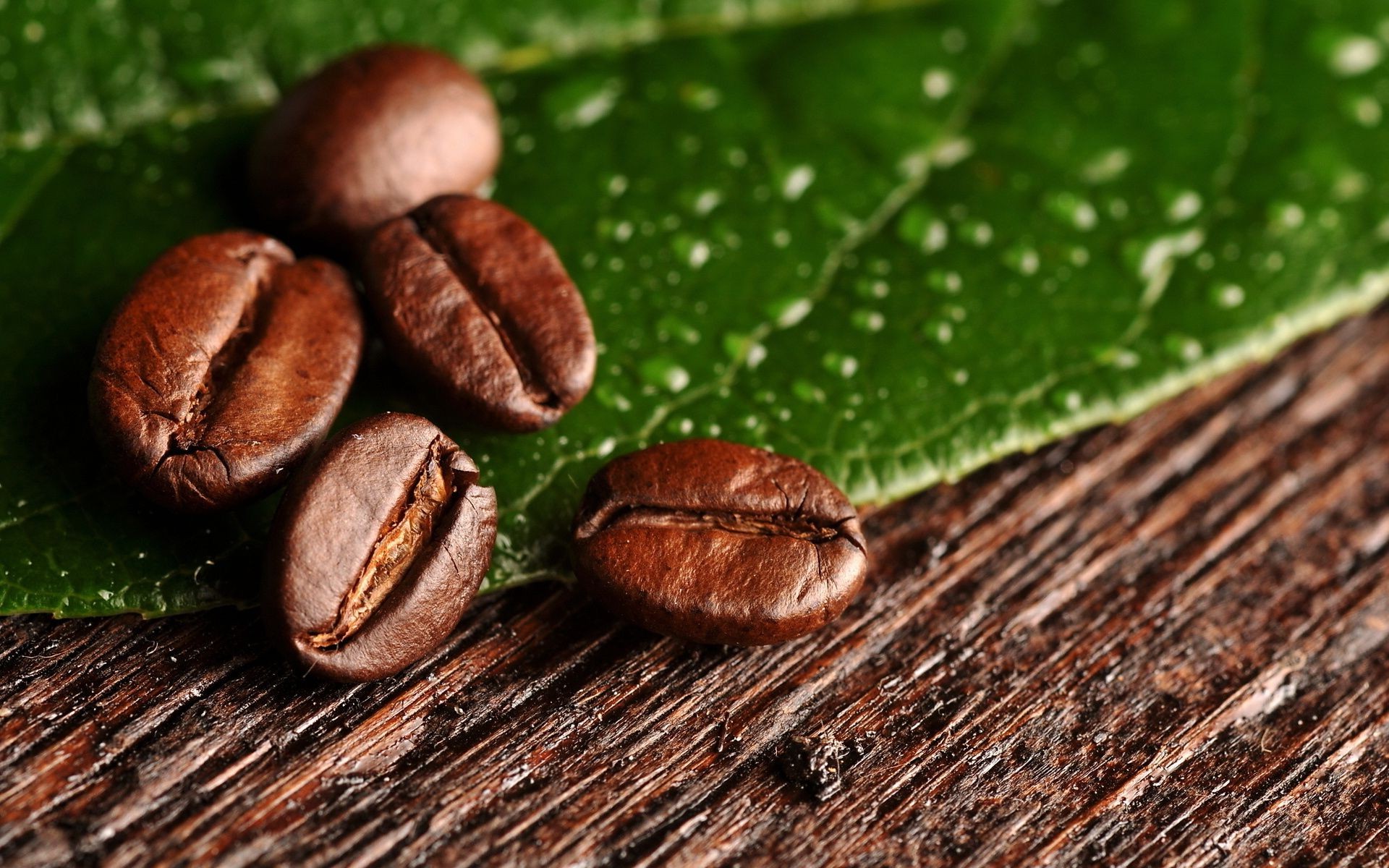 растения еда крупным планом древесины рабочего стола кофе семян природа духи фасоли темный эпикур флора пить урожай текстура лист