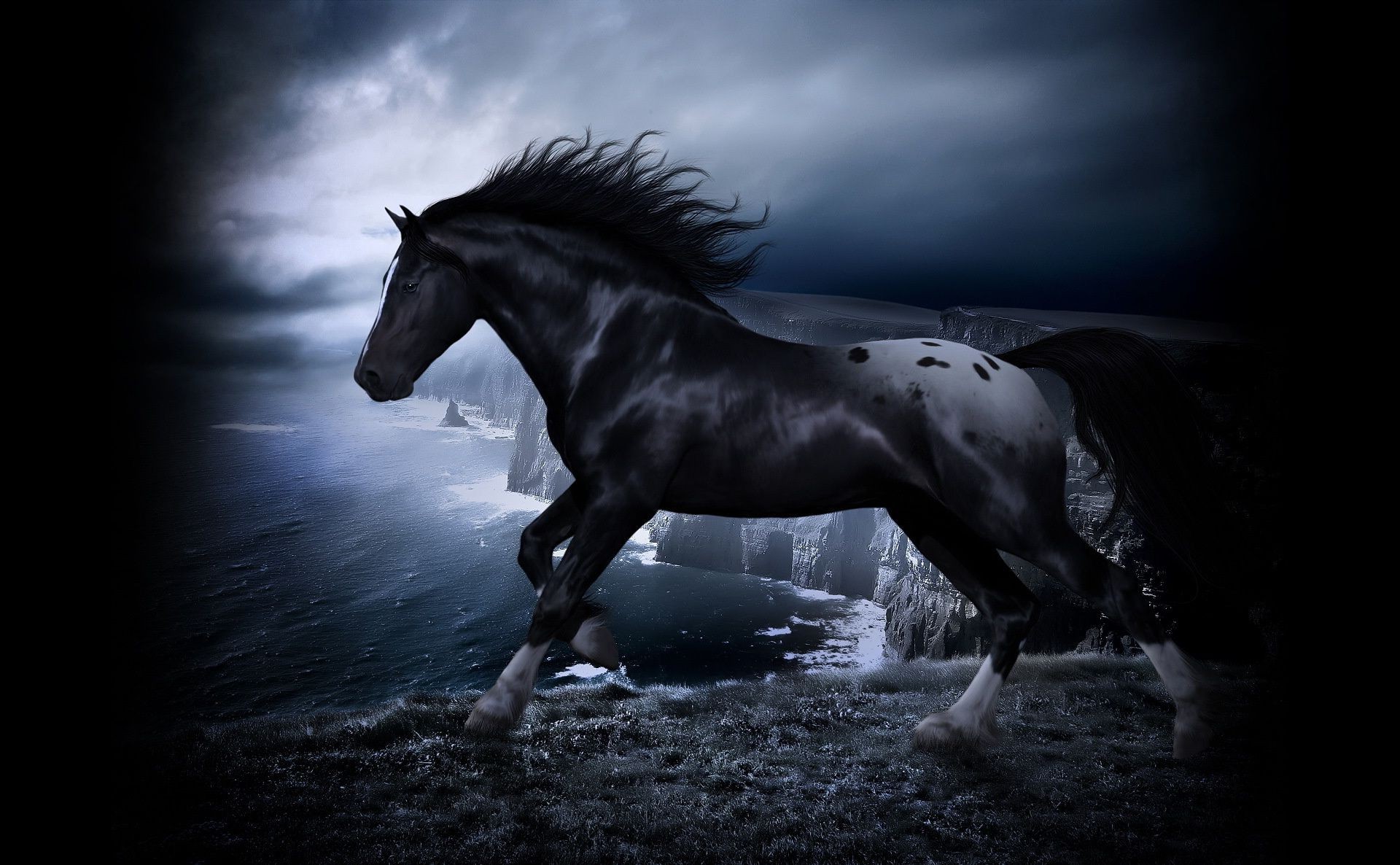 лошади конница маре лошадь монохромный млекопитающее жеребец коневодство мустанг сидит один конный пони гонки животное скаковая лошадь мане