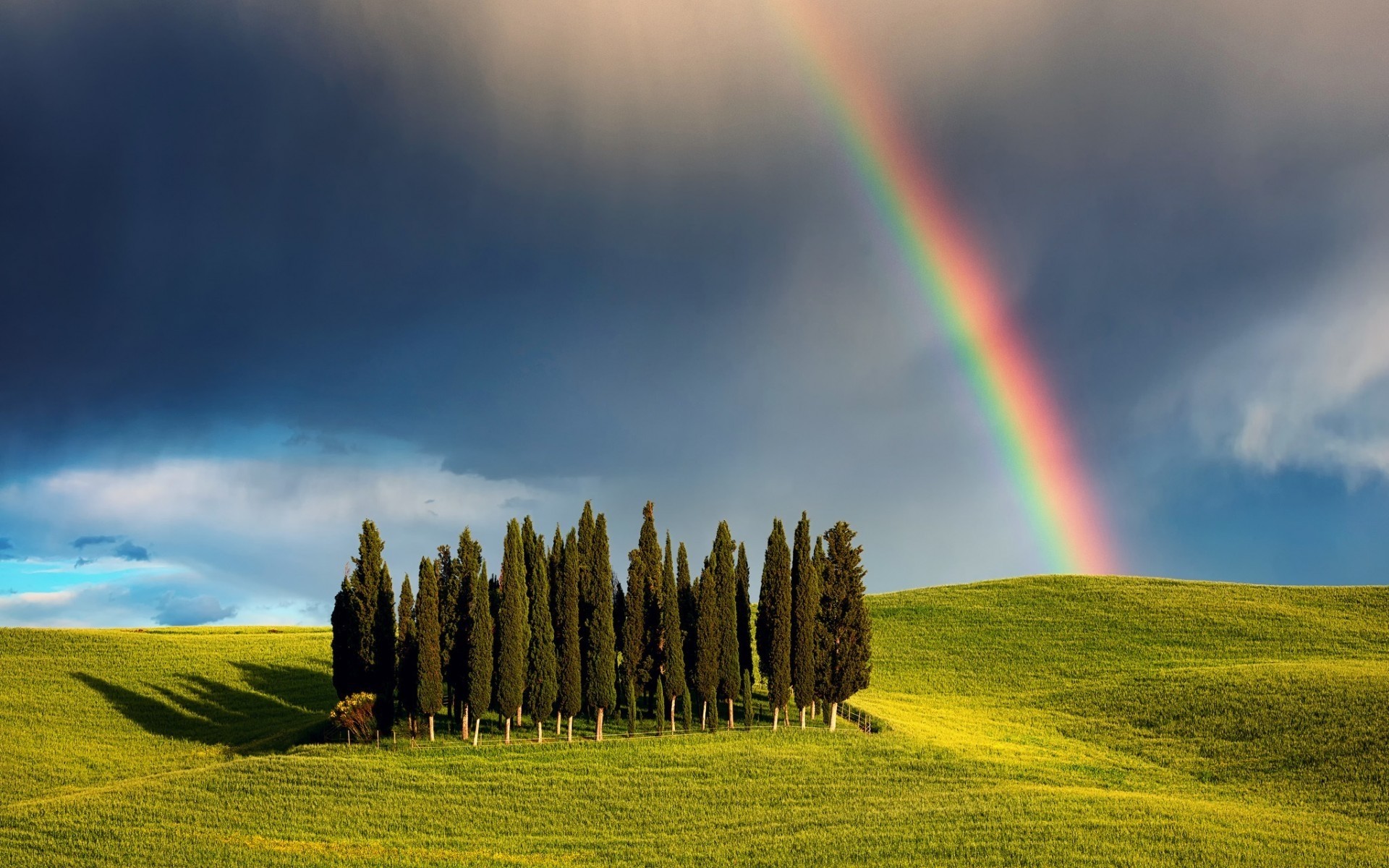 itália paisagem arco-íris grama natureza rural céu agricultura fazenda campo feno zona rural ao ar livre verão pasto pasto toscana árvores deslumbrante