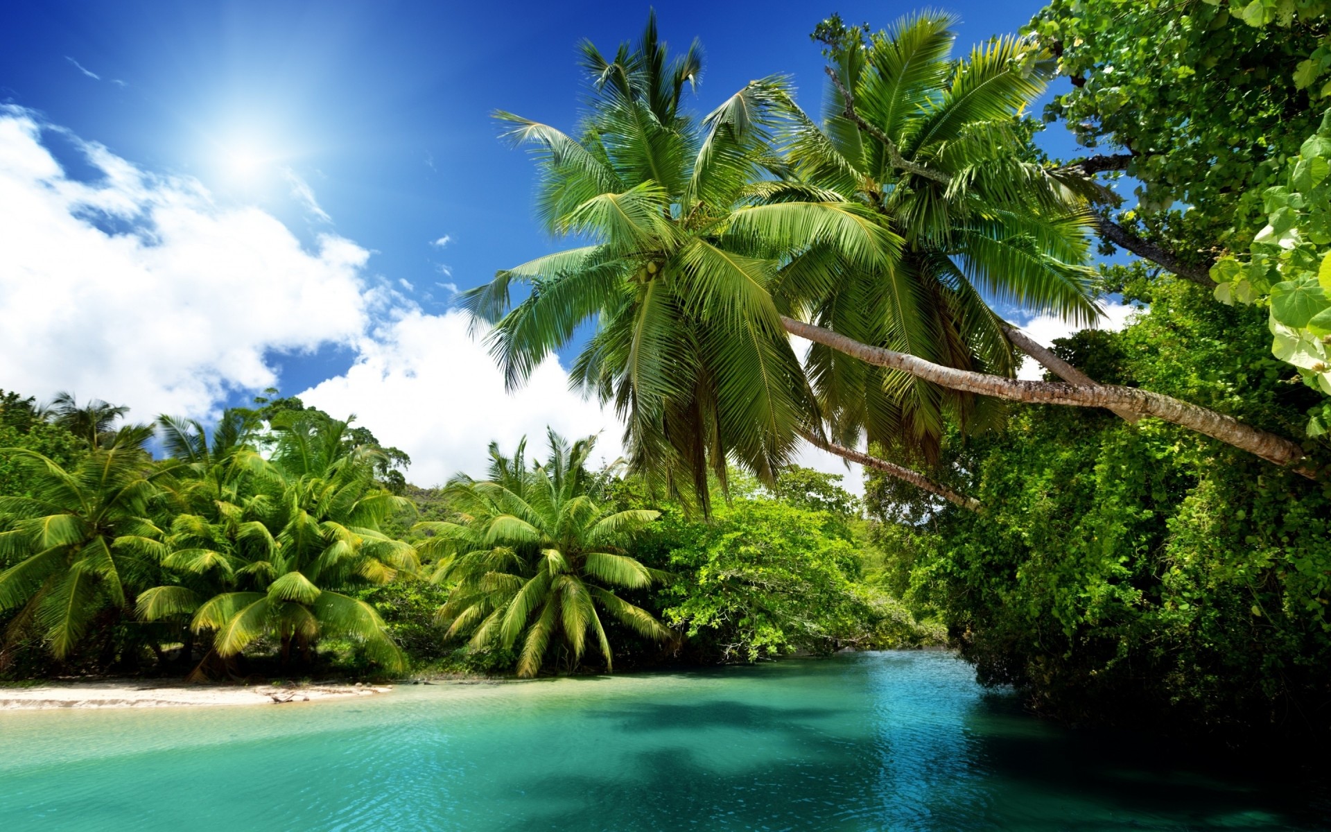 paesaggio tropicale estate sole acqua natura paradiso albero spiaggia isola viaggi esotico idillio foglia bel tempo palme laguna paesaggio cocco paesaggio mare