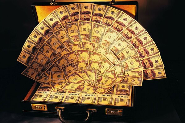 A suitcase with a lot of money