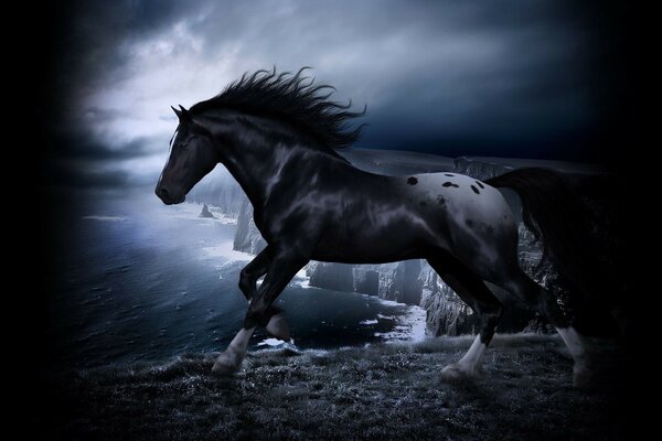 A black horse on a dark background