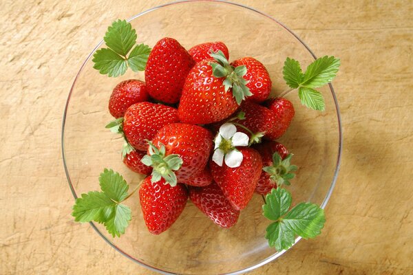 Frühstück aus leckeren Vitaminen im Frühling