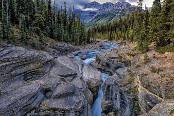 Économiseur d écran paysage des rivières de montagne